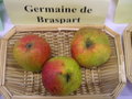 vignette Pomme 'Germaine de Braspart'