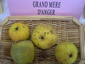 vignette Pomme 'Grand Mre d'Angers'