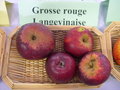 vignette Pomme 'Grosse Rouge Langevinaise'