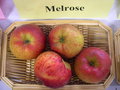 vignette Pomme 'Melrose' = 'Melred'