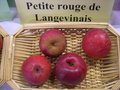 vignette Pomme 'Petite Rouge de Langevinais'