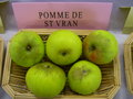vignette Pomme 'de Saint Vran'