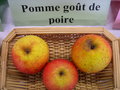 vignette Pomme 'Got de Poire'