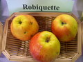 vignette Pomme 'Robiquette'