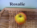 vignette Pomme 'Rosalie'