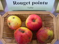 vignette Pomme 'Rouget Pointu'