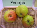 vignette Pomme 'Vernajou'
