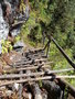 vignette Pont de bois pour franchir l'aplomb