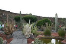 vignette Jardin de Cactus - Lanzarote