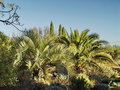 vignette Jardin du haut