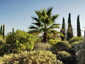 vignette Jardin du haut