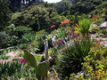 vignette Jardin botanique à Wellington