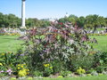 vignette Jardin du Luxembourg