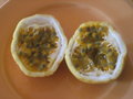 vignette Passiflora fruit jaune