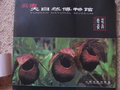 vignette Yunnan Natural Museum Flower
