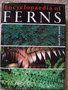 vignette Encyclopaedia of Ferns