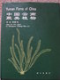vignette Yunnan Ferns of China vol1