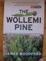 vignette The Wollemi Pine