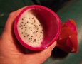 vignette Hylocereus undatus   / pitaya