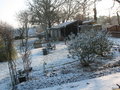 vignette vue de mon jardin en hiver