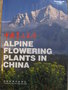 vignette Alpine flowerng plants in China