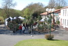 vignette Camellia. Exposition  La Tannerie, Le Loroux-Bottereau, Loire-Atlantique