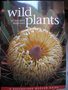 vignette Wild plants of Greater Brisbane