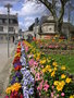 vignette Massifs floraux printemps 2009