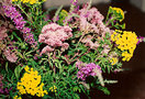 vignette vue-bouquet fleurs sauvages
