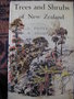 vignette Trees and Shrubs of new zealand