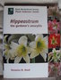 vignette Hippeastrum the gardener's amaryllis