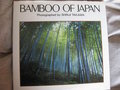 vignette Bamboo of Japan
