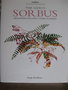 vignette The genus Sorbus