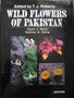 vignette Wild flowers of Pakistan