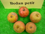 vignette pomme 'Bedan petit',  cidre