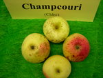 vignette pomme 'Champcouri',  cidre