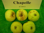 vignette pomme 'Chapelle',  cidre