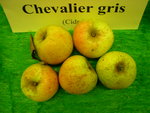 vignette pomme 'Chevalier Gris',  cidre