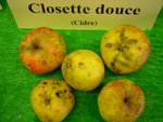 vignette pomme 'Closette Douce',  cidre