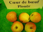 vignette pomme 'Coeur de Boeuf Plour',  cidre