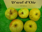 vignette pomme 'D'Oeuf d'Oie',  cidre