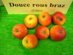 vignette pomme 'Douce Rous Braz',  cidre