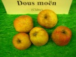 vignette pomme 'Dous Mon',  cidre - 2