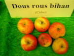 vignette pomme 'Dous Rouz Bihan',  cidre