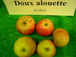 vignette pomme 'Doux Alouette',  cidre