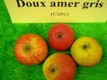 vignette pomme 'Doux Amer Gris',  cidre