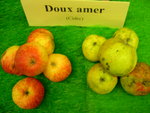 vignette pomme 'Doux Amer',  cidre