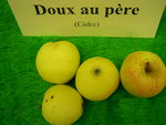 vignette pomme 'Doux au Pre',  cidre