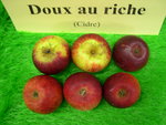 vignette pomme 'Doux au Riche',  cidre