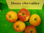 vignette pomme 'Doux Chevalier',  cidre